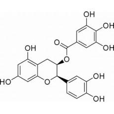 表儿茶素没食子酸酯