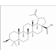 白桦脂酸