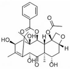 10-脱乙酰巴卡亭