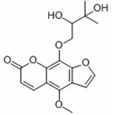 白当归素