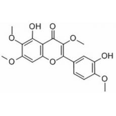 蔓荆子黄素