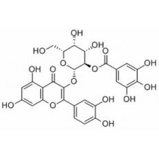 2”-O-没食子酰基金丝桃苷