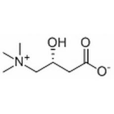 左旋肉碱