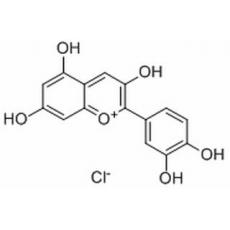 氯化矢车菊素