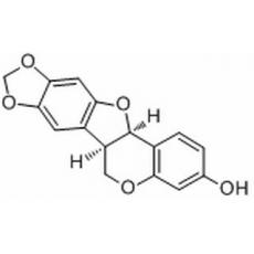 高丽槐素