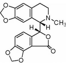 比枯枯灵