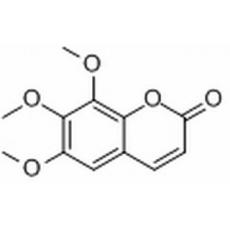 白蜡树素