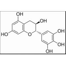 没食子儿茶素