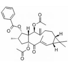 千金子二萜醇二乙酰苯甲酰酯