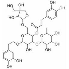 连翘酯苷B