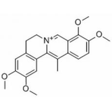 脱氢紫堇碱