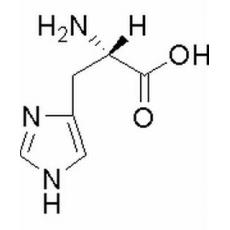  L-组氨酸
