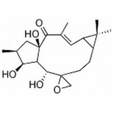 环氧续随子醇