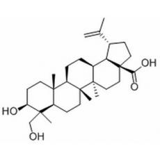 23-羟基白桦酸