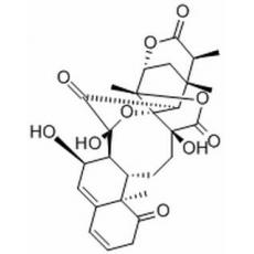 酸浆苦味素L