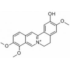 非洲防己碱