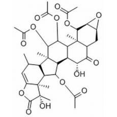 根薯酮内酯A