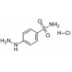  4-磺酰胺基苯肼盐酸盐