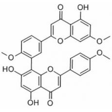 金松双黄酮