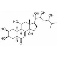 漏芦甾酮