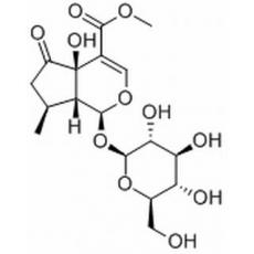 5-羟基马鞭草苷