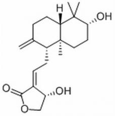 去氧穿心莲内酯