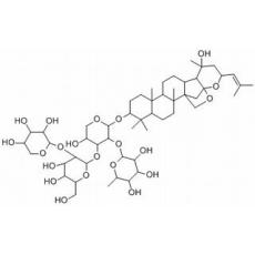 酸枣仁皂苷B1