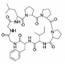 太子参环肽B