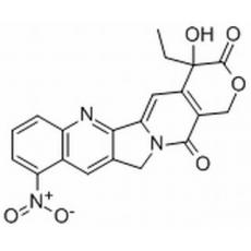 9-硝基喜树碱