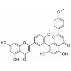 异银杏双黄酮