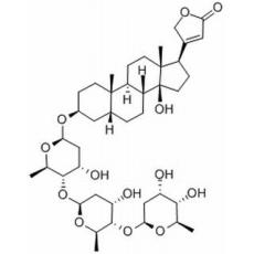 洋地黄毒苷