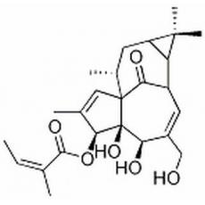 巨大戟醇-3-O-当归酸酯