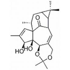 巨大戟醇-5,20-缩丙酮