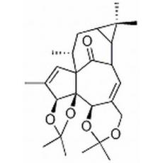 巨大戟醇-3,4:5,20-双缩丙酮