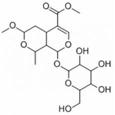 7-O-甲基莫诺苷