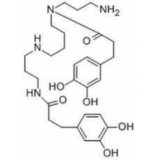 地骨皮乙素