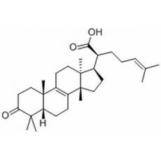 榄香酮酸