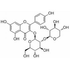 山奈酚3-O-桑布双糖苷
