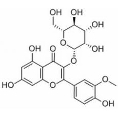 异鼠李素 3-O-半乳糖苷