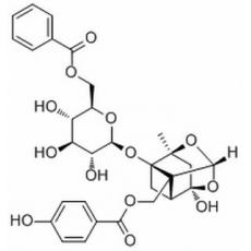 苯甲酰氧化芍药苷