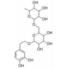 连翘酯苷E