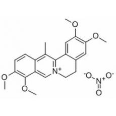 去氢延胡索甲素硝酸盐