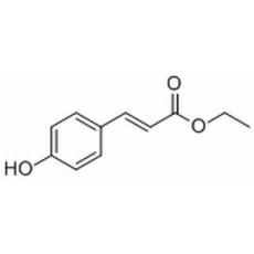 p-Coumaric acid ethyl ester