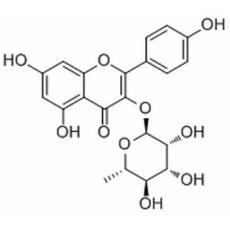 阿福豆苷