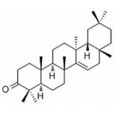 蒲公英赛酮