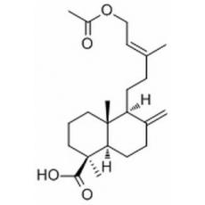 乙酰基异柏烯酸