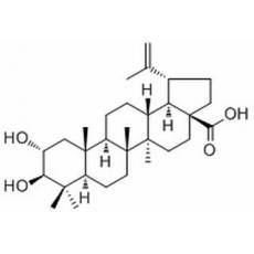 麦珠子酸