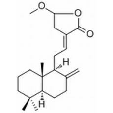 二羟丙茶碱D甲醚