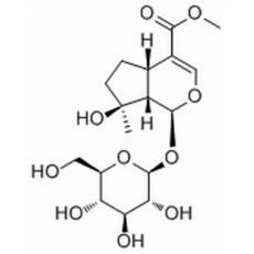 玉叶金花甙酸甲酯