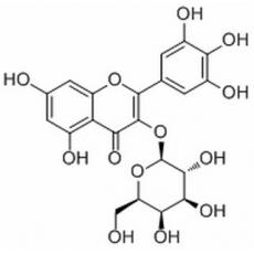 Myricetin 3-O-galactoside